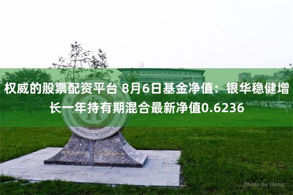 权威的股票配资平台 8月6日基金净值：银华稳健增长一年持有期混合最新净值0.6236