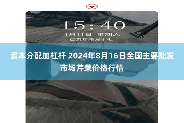 资本分配加杠杆 2024年8月16日全国主要批发市场芹菜价格行情