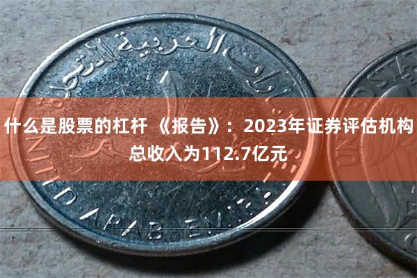 什么是股票的杠杆 《报告》：2023年证券评估机构总收入为112.7亿元