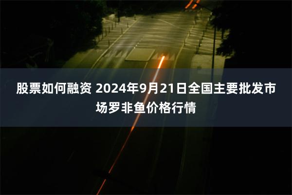 股票如何融资 2024年9月21日全国主要批发市场罗非鱼价格行情