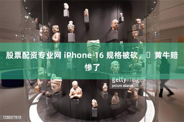 股票配资专业网 iPhone 16 规格被砍，​黄牛赔惨了