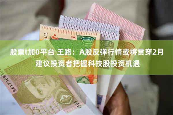 股票t加0平台 王路：A股反弹行情或将贯穿2月 建议投资者把握科技股投资机遇