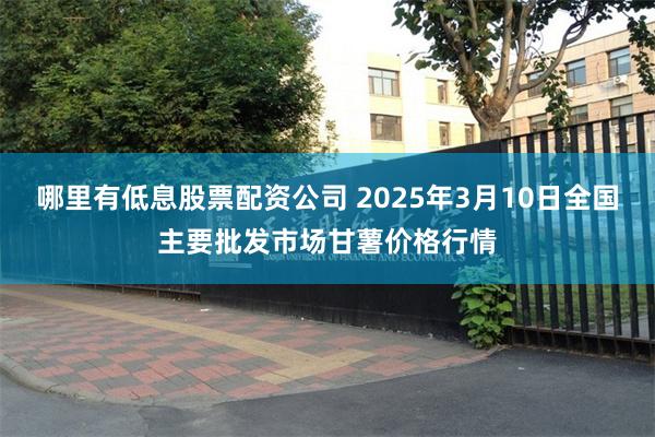 哪里有低息股票配资公司 2025年3月10日全国主要批发市场甘薯价格行情