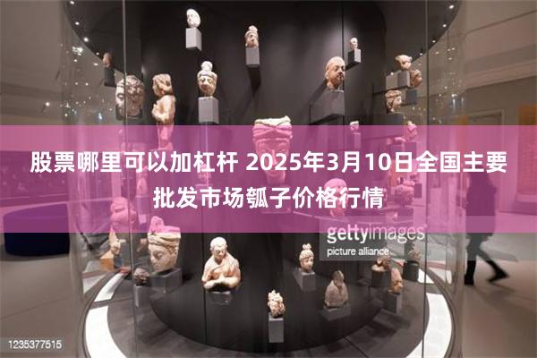 股票哪里可以加杠杆 2025年3月10日全国主要批发市场瓠子价格行情