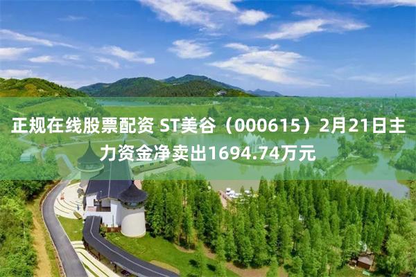 正规在线股票配资 ST美谷（000615）2月21日主力资金净卖出1694.74万元
